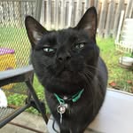 mookeet75 profile picture