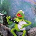 moonagedaydreamtoo profile picture