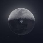 moondovevintage profile picture
