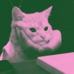 moonnayya profile picture