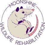 moonshine_wildlife_rehab profile picture