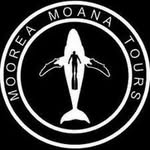 mooreamoanatours profile picture