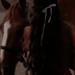 moose.1739382 profile picture