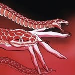 moremahmoud profile picture