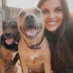 morganwenzel profile picture