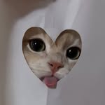 morlaan profile picture