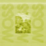 mossforms profile picture