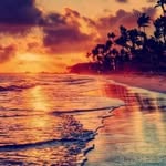 mosstapha__13 profile picture
