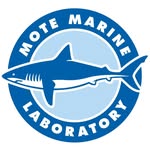 motemarinelab profile picture