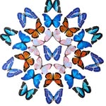 mothandmyth profile picture