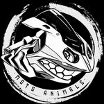 moto_animals profile picture