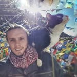 motomogli profile picture