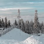 mountainlodgehafjell profile picture