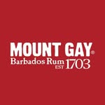 mountgayrum profile picture