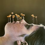 mozhdehmatin profile picture