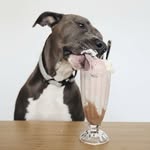 mozzarellasfriends profile picture