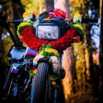 mpatel8516 profile picture