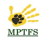 mptfs.official profile picture