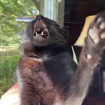 mr.casey.binx profile picture