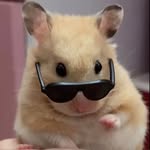 mr.fnder profile picture