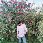 mr.ritik_puniya profile picture