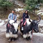 mr_and_mrs_tomar143 profile picture