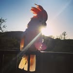 mr_beau_jangles profile picture