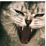 mr_machiyami profile picture