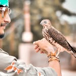 mramarjeet profile picture