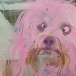 mrandmissiw profile picture