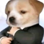 mrbeans_shitflix profile picture