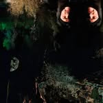 mrblissmedia profile picture