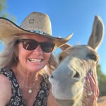 mrdonkers profile picture