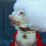 mrs.flans profile picture