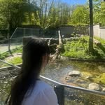 ms.pieps profile picture