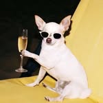 ms.skindealer profile picture