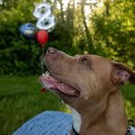 ms_deidre profile picture