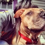 msfmorris profile picture