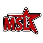 mslmedia_ profile picture