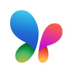msn profile picture