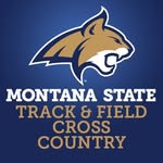 msubobcatstfxc profile picture