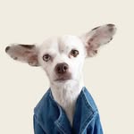 mtla.studio profile picture