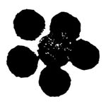 muckfloral profile picture