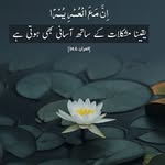 mufti_ashif profile picture