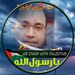 muhammad.khursheed.94214508 profile picture