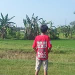 muhammadaufaathuf profile picture