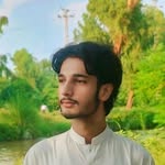muhammadaun124 profile picture