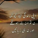 muhammadfarhan462023 profile picture