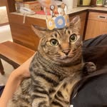 mullvvan profile picture
