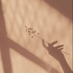 mun.yeca profile picture